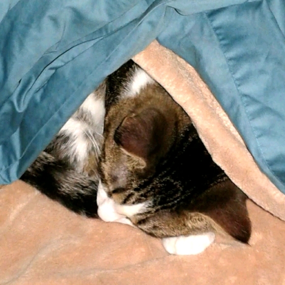 ☮️ Amber Marie ✌️ Poshmark Ambassador 👊 - Picture 12 of 16